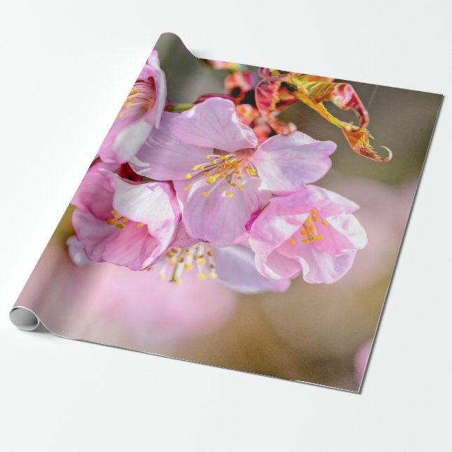 Charming och Coola Sakura Flowers Presentpapper (Utrullad)