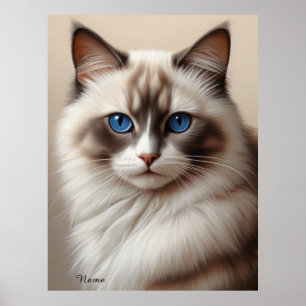 Charming Ragdoll Cat Art Djurälskare Poster