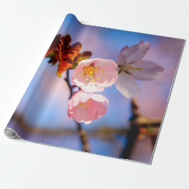 Charming Sakura Blommars Presentpapper