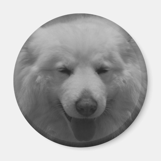 Charming Smile Magnet (Framsidan)