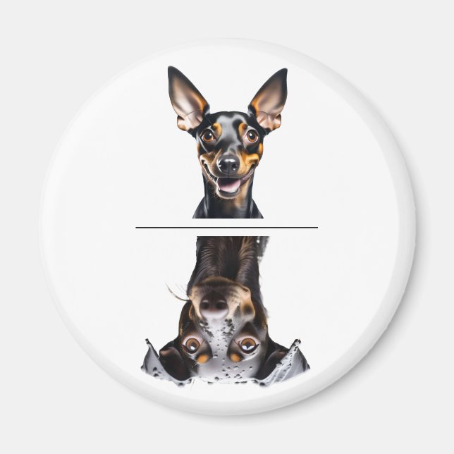 Charming Toy Manchester Terrier Diskmaskin Magnet (Framsidan)