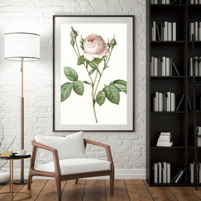 Charming Vit ros Botanical Art Print Poster (Skapare uppladdad)