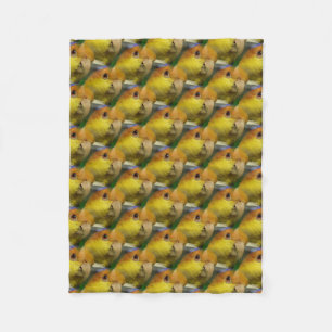 Charming White Bellded Caique Parrot Fleecefilt
