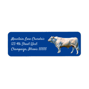 Charolais Bull   Returadress Etikett