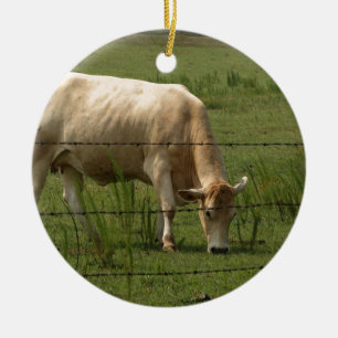 Charolais skrämmer att beta i fält julgransprydnad keramik