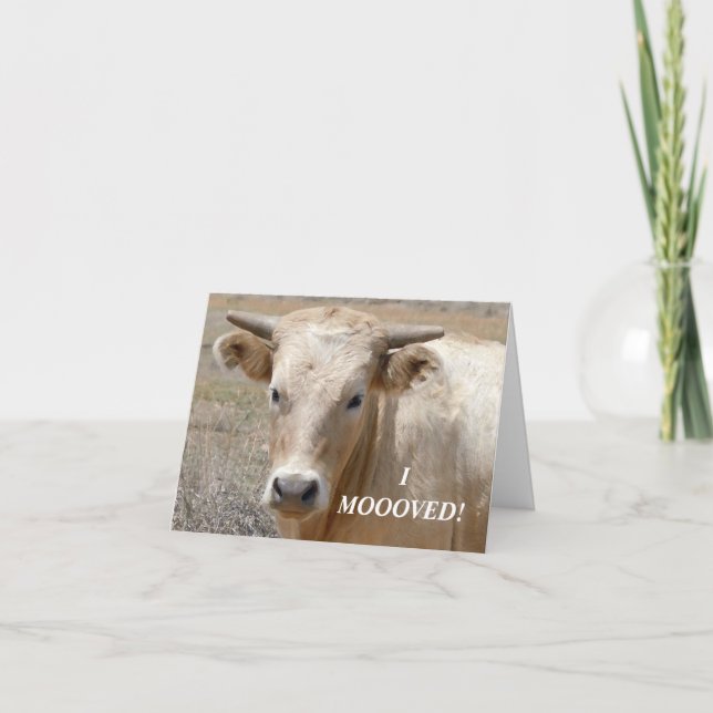 Charolais White Cow - Western förändring av Adress Meddelande (Framsida)