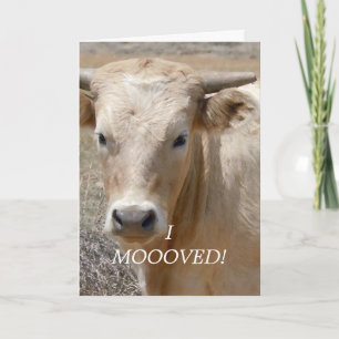 Charolaisvitko - western adressändring meddelande