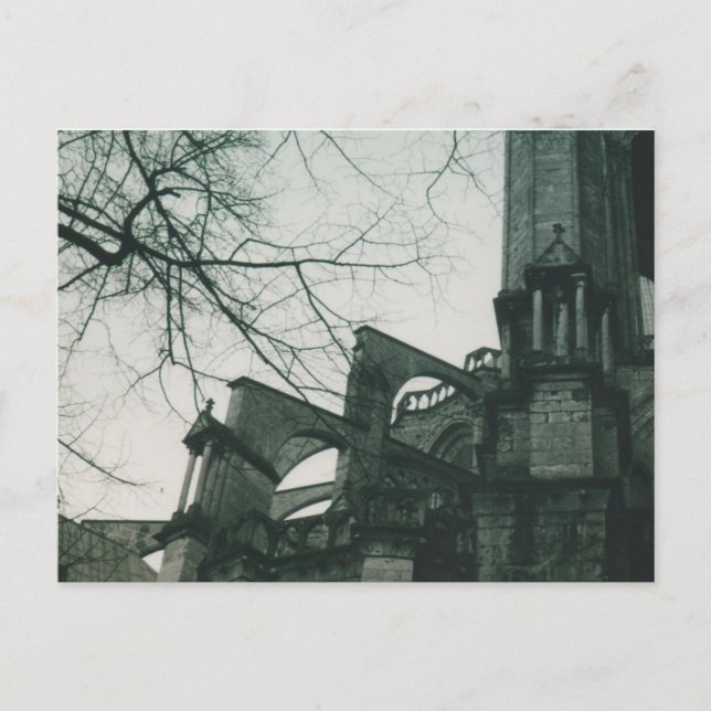 Chartres Cathedral (Notre Dame de Chartres) Vykort (Framsida)