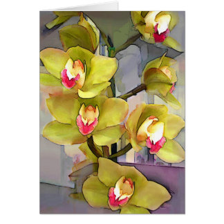 Chartreuse Cymbidiums OBS Kort