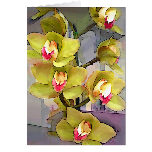 Chartreuse Cymbidiums OBS Kort (Framsidan)