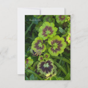 Chartreuse Färgad Geranium Löv Anteckningskort