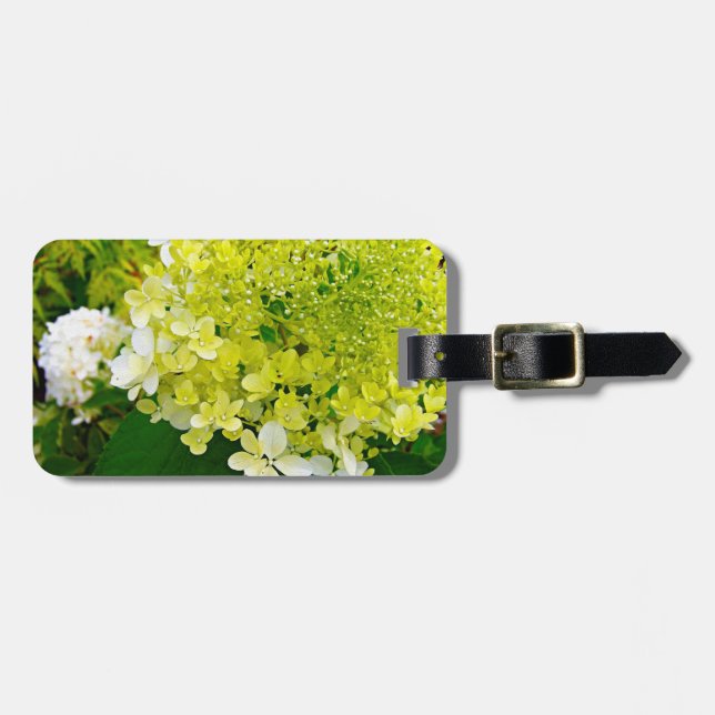 Chartreuse Grön, Limelight Hydrangea, Bagagebricka (Horisontell Framsida)