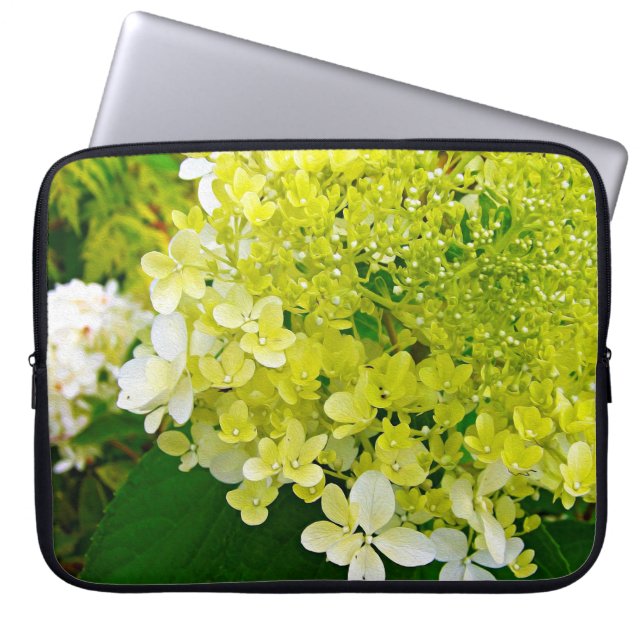 Chartreuse Grön, Limelight Hydrangea, Laptop Fodral (Framsidan)