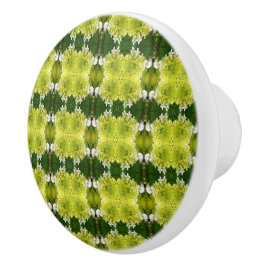 Chartreuse Grönt Abstrakt Hydrangea Blooms Mönster Knopp