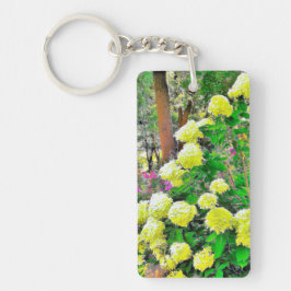 Chartreuse Grönt Limelight Hydrangea Garden