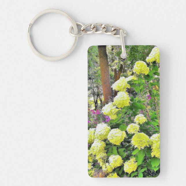 Chartreuse Grönt Limelight Hydrangea Garden (Framsidan)