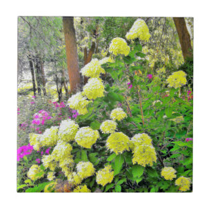 Chartreuse Grönt Limelight Hydrangea Garden Kakelplatta