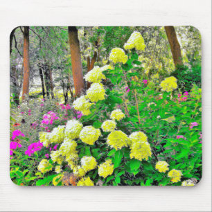 Chartreuse Grönt Limelight Hydrangea Garden Musmatta