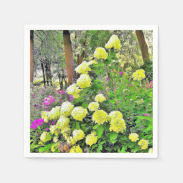 Chartreuse Grönt Limelight Hydrangea Garden Pappersservett