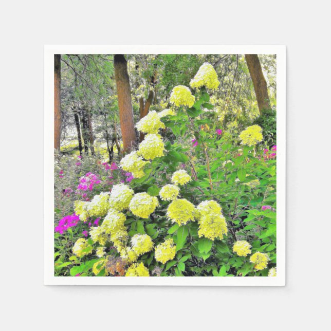 Chartreuse Grönt Limelight Hydrangea Garden Pappersservett (Framsidan)