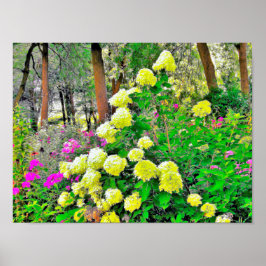 Chartreuse Grönt Limelight Hydrangea Garden Poster