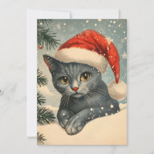 Chartreux Cat-jul Julkort