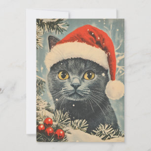 Chartreux Cat-jul Julkort