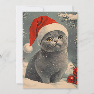 Chartreux Cat-jul Julkort