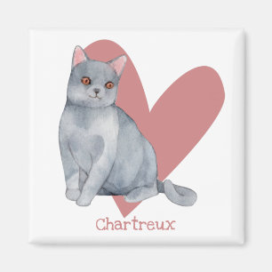 Chartreux Cat Watercolor Kattunge Rosa Heart Magnet