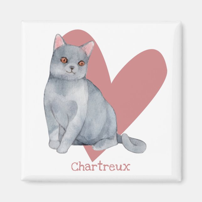 Chartreux Cat Watercolor Kattunge Rosa Heart Magnet (Framsidan)