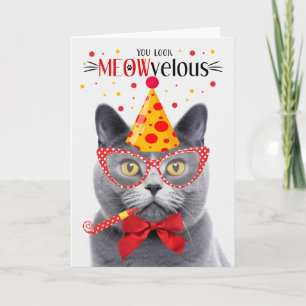Chartreux Grått Cat MEOWvelous Birthday Kort