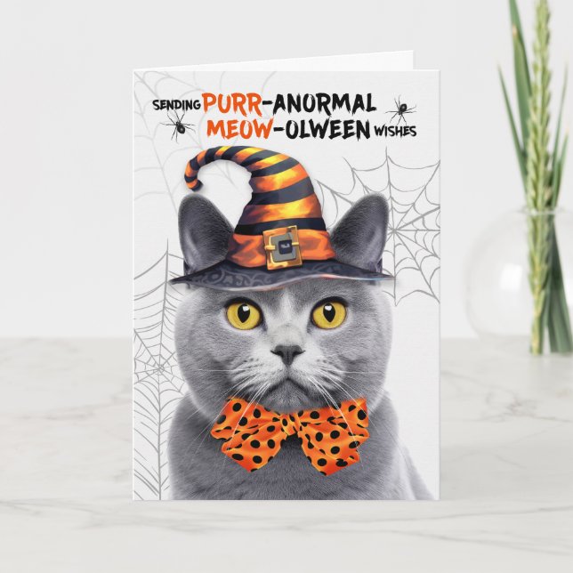 Chartreux Halloween Katt PURRanormal MEOWolween Helgkort (Framsida)