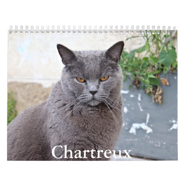 Chartreuxkalender Kalender (Omslag)