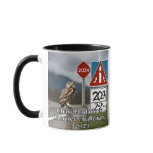 Chase Ambitions, Conquer Challenges: 2024