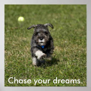 Chase dina drömmar. poster