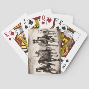 Chase I Casinokort