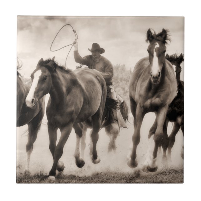 Chase I Kakelplatta (Framsidan)