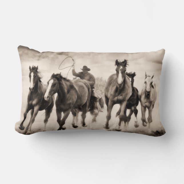 Chase I Lumbarkudde (Framsida)