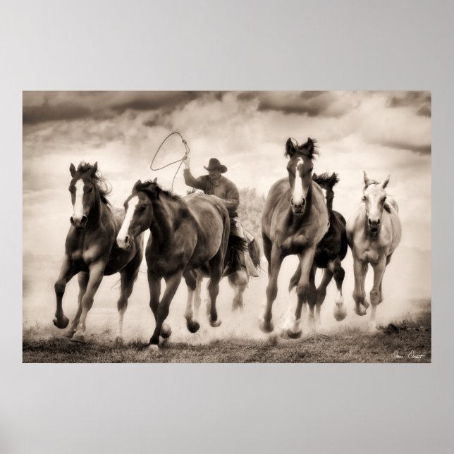 Chase I Poster (Framsidan)