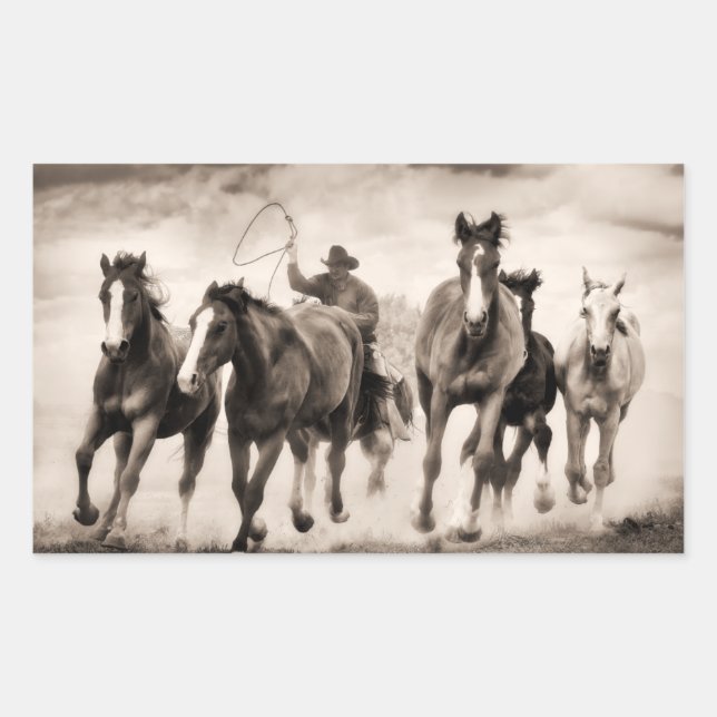 Chase I Rektangulärt Klistermärke (Framsida)