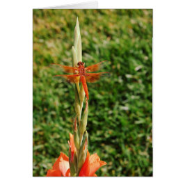 Chase the Dragon Hälsningskort