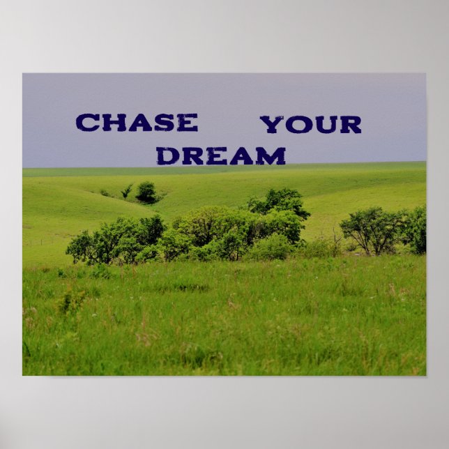 Chase Your Dream Motivational Poster (Framsidan)