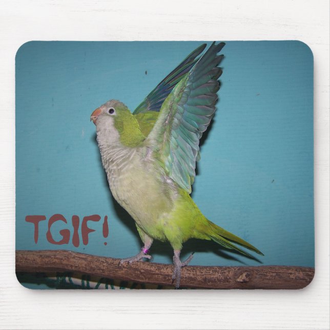 Chaska TGIF! Mousepad Musmatta (Framsidan)