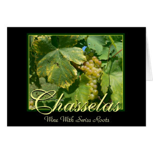 Chasselas Vin Grapes in Mont-Sur-Rolle Hälsningskort