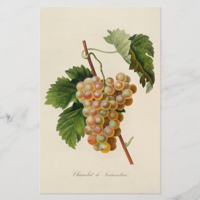 Chasselat de Fontainebleau Brevpapper (Framsida)