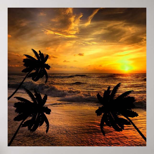 CHASSUNSETS OCEAN SCENERY NATURE POSTER (Framsidan)