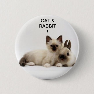 chat et lapin / cat and rabbit siamois ! badge ! knapp