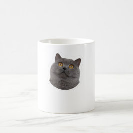 chat grise kaffemugg