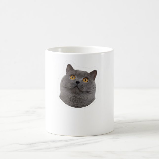 chat grise  kaffemugg (Center)