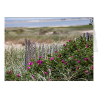 Chatam Light Beach Fence Hälsningskort
